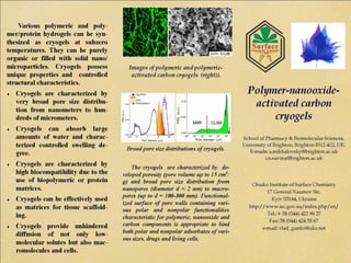 Polymer-nanooxide-activated carbon  cryogels  