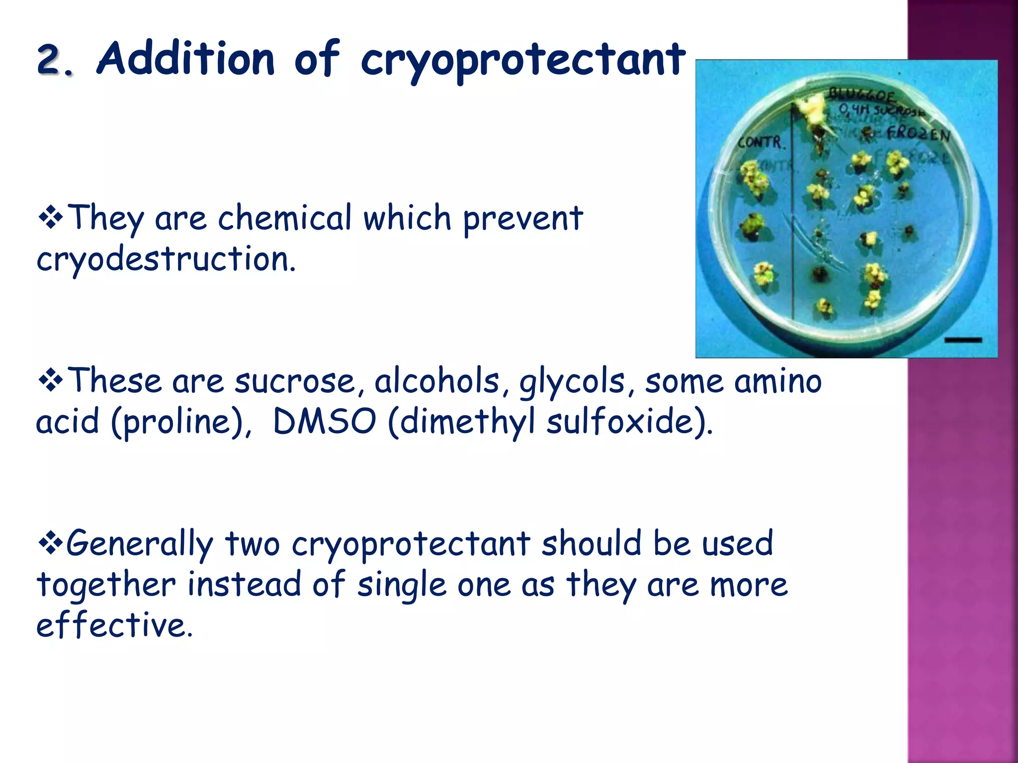 2. Addition of cryoprotectant
They are chemical which prevent
cryodestruction.
These are sucrose, alcohols, glycols, some amino
acid (proline), DMSO (dimethyl sulfoxide).
Generally two cryoprotectant should be used
together instead of single one as they are more
effective.
 