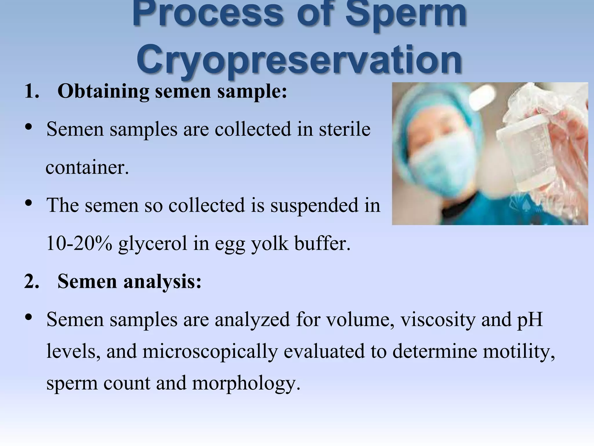 Process of Sperm
Cryopreservation
1. Obtaining semen sample:
• Semen samples are collected in sterile
container.
• The semen so collected is suspended in
10-20% glycerol in egg yolk buffer.
2. Semen analysis:
• Semen samples are analyzed for volume, viscosity and pH
levels, and microscopically evaluated to determine motility,
sperm count and morphology.
 