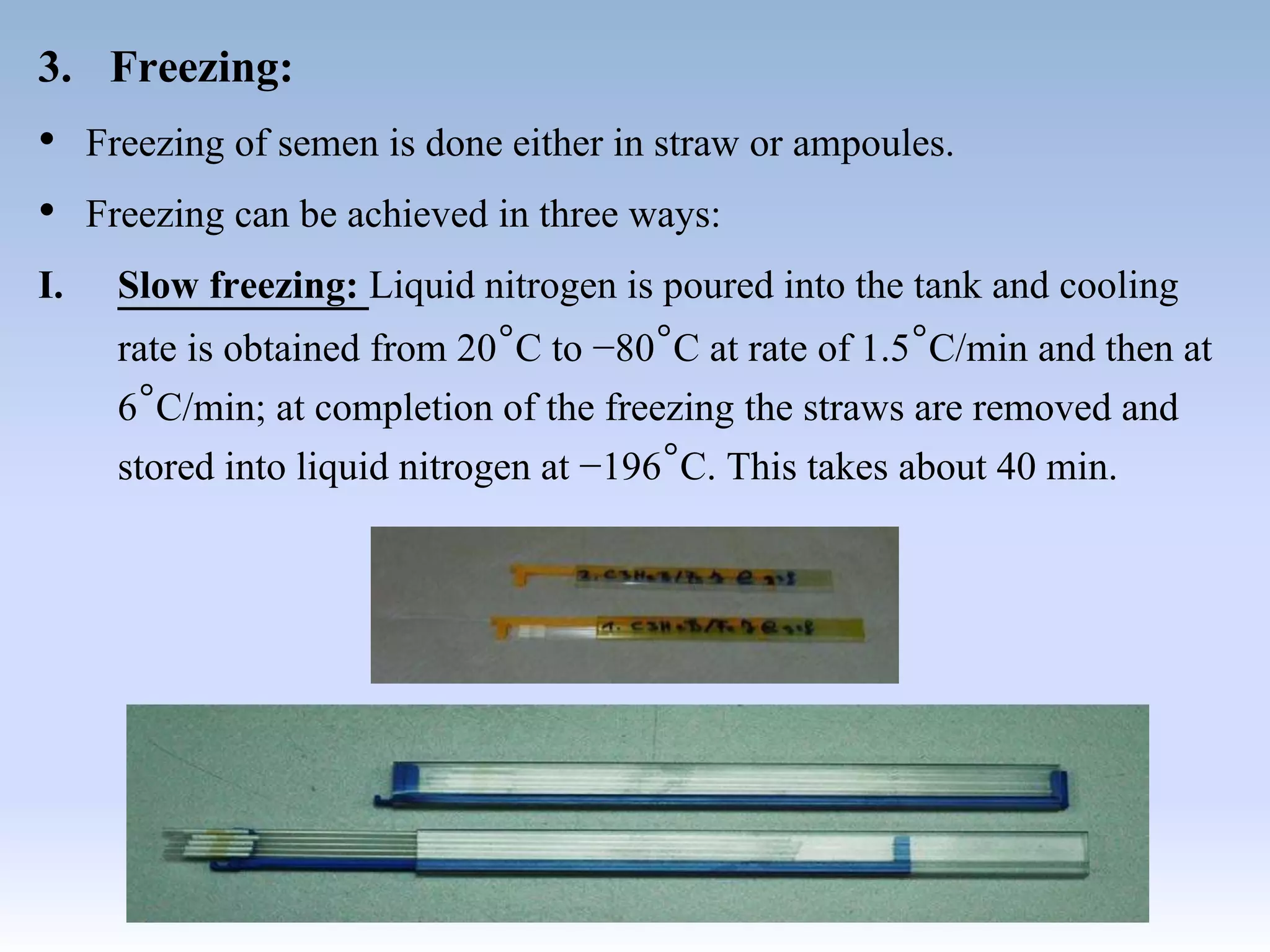 3. Freezing:
• Freezing of semen is done either in straw or ampoules.
• Freezing can be achieved in three ways:
I. Slow freezing: Liquid nitrogen is poured into the tank and cooling
rate is obtained from 20°C to −80°C at rate of 1.5°C/min and then at
6°C/min; at completion of the freezing the straws are removed and
stored into liquid nitrogen at −196°C. This takes about 40 min.
 