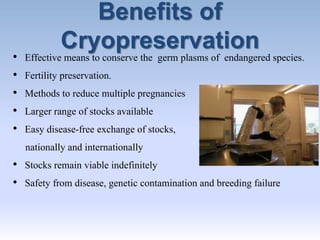 Benefits of
Cryopreservation
• Effective means to conserve the germ plasms of endangered species.
• Fertility preservation.
• Methods to reduce multiple pregnancies
• Larger range of stocks available
• Easy disease-free exchange of stocks,
nationally and internationally
• Stocks remain viable indefinitely
• Safety from disease, genetic contamination and breeding failure
 