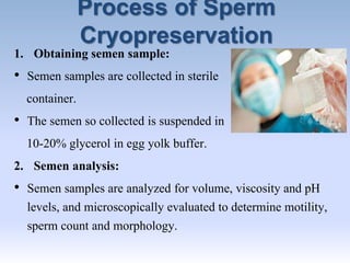 Process of Sperm
Cryopreservation
1. Obtaining semen sample:
• Semen samples are collected in sterile
container.
• The semen so collected is suspended in
10-20% glycerol in egg yolk buffer.
2. Semen analysis:
• Semen samples are analyzed for volume, viscosity and pH
levels, and microscopically evaluated to determine motility,
sperm count and morphology.
 