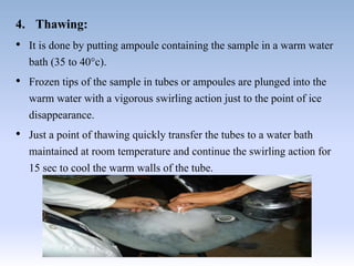 4. Thawing:
• It is done by putting ampoule containing the sample in a warm water
bath (35 to 40°c).
• Frozen tips of the sample in tubes or ampoules are plunged into the
warm water with a vigorous swirling action just to the point of ice
disappearance.
• Just a point of thawing quickly transfer the tubes to a water bath
maintained at room temperature and continue the swirling action for
15 sec to cool the warm walls of the tube.
 
