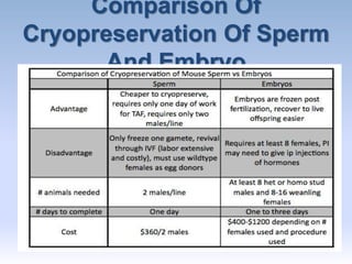 cryopreservation of embryos advantages and disadvantages