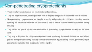 Non-penetrating cryoprotectants
 This type of cryoprotectants do not penetrate the cell membrane.
 They are larger molecules, usually polymers such as polyethylene glycol or saccharides such as sucrose.
 Non-penetrating cryoprotectants are thought to act by dehydrating the cell before freezing, thereby
reducing the amount of water that the cell needs to lose to remain close to osmotic equilibrium during
freezing.
 They inhibit ice growth by the same mechanism as penetrating cryoprotectants, but they do not enter
cells.
 They help to dehydrate the cell prior to cryopreservation by altering the osmotic balance and also help to
prevent damage to cells during recovery from cryopreservation by preventing solutes, particularly larger
protoplasmic elements, from escaping the cell too rapidly.
 