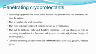 Penetrating cryoprotectants
 Penetrating cryoprotectants are so called because they penetrate the cell membrane and
enter the cytosol.
 They are exclusively small molecules.
 They form hydrogen bonds with water to prevent ice crystallisation.
 They act by replacing water and therefore controlling cell size changes as well as
preventing intracellular ice formation and prevent excessive dehydration during cell
cryopreservation.
 Common penetrating cryoprotectants are DMSO (Dimethyl sulfoxide), glycerol, ethylene
glycol.
 