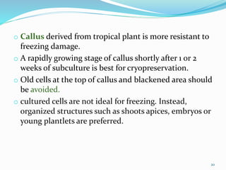 o Callus derived from tropical plant is more resistant to
freezing damage.
o A rapidly growing stage of callus shortly after 1 or 2
weeks of subculture is best for cryopreservation.
o Old cells at the top of callus and blackened area should
be avoided.
o cultured cells are not ideal for freezing. Instead,
organized structures such as shoots apices, embryos or
young plantlets are preferred.
20
 