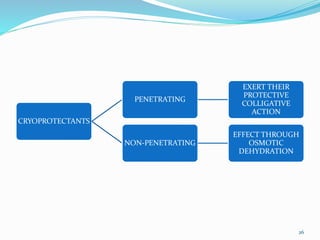 CRYOPROTECTANTS
PENETRATING
EXERT THEIR
PROTECTIVE
COLLIGATIVE
ACTION
NON-PENETRATING
EFFECT THROUGH
OSMOTIC
DEHYDRATION
26
 