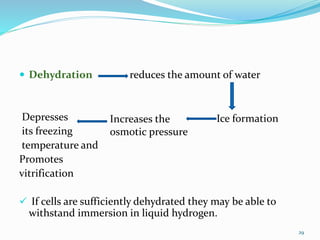  Dehydration reduces the amount of water
Depresses
its freezing
temperature and
Promotes
vitrification
 If cells are sufficiently dehydrated they may be able to
withstand immersion in liquid hydrogen.
Ice formationIncreases the
osmotic pressure
29
 