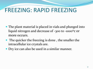 FREEZING: RAPID FREEZING
 The plant material is placed in vials and plunged into
liquid nitrogen and decrease of -300 to -10000c or
more occurs.
 The quicker the freezing is done , the smaller the
intracellular ice crystals are.
 Dry ice can also be used in a similar manner.
31
 