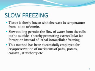 SLOW FREEZING
 Tissue is slowly frozen with decrease in temperature
from -0.1 to 10°c/min.
 Slow cooling permits the flow of water from the cells
to the outside , thereby promoting extracellular ice
formation instead of lethal intracellular freezing.
 This method has been successfully employed for
cryopreservation of meristems of peas , potato ,
cassava , strawberry etc.
33
 