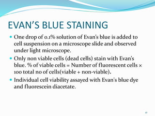 EVAN’S BLUE STAINING
 One drop of 0.1% solution of Evan’s blue is added to
cell suspension on a microscope slide and observed
under light microscope.
 Only non viable cells (dead cells) stain with Evan’s
blue. % of viable cells = Number of fluorescent cells ×
1oo total no of cells(viable + non-viable).
 Individual cell viability assayed with Evan's blue dye
and fluorescein diacetate.
41
 