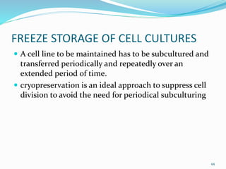 FREEZE STORAGE OF CELL CULTURES
 A cell line to be maintained has to be subcultured and
transferred periodically and repeatedly over an
extended period of time.
 cryopreservation is an ideal approach to suppress cell
division to avoid the need for periodical subculturing
44
 