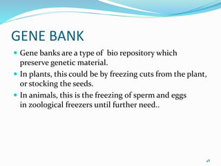 GENE BANK
 Gene banks are a type of bio repository which
preserve genetic material.
 In plants, this could be by freezing cuts from the plant,
or stocking the seeds.
 In animals, this is the freezing of sperm and eggs
in zoological freezers until further need..
48
 