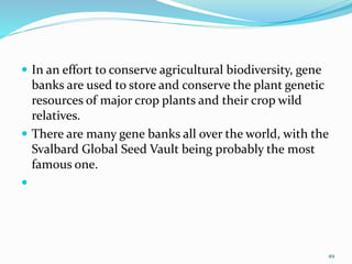  In an effort to conserve agricultural biodiversity, gene
banks are used to store and conserve the plant genetic
resources of major crop plants and their crop wild
relatives.
 There are many gene banks all over the world, with the
Svalbard Global Seed Vault being probably the most
famous one.

49
 