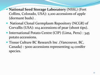  National Seed Storage Laboratory (NSSL) (Fort
Collins, Colorado, USA): 2,100 accessions of apple
(dormant buds) .
 National Clonal Germplasm Repository (NCGR) of
Corvallis (USA): 104 accessions of pear (shoot tips).
 International Potato Centre (CIP) (Lima, Peru) : 345
potato accessions.
 Tissue Culture BC Research Inc .(Vancouver, BC,
Canada) : 5000 accessions representing 14 conifer
species.
52
 