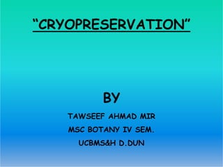 “CRYOPRESERVATION”
BY
TAWSEEF AHMAD MIR
MSC BOTANY IV SEM.
UCBMS&H D.DUN
 