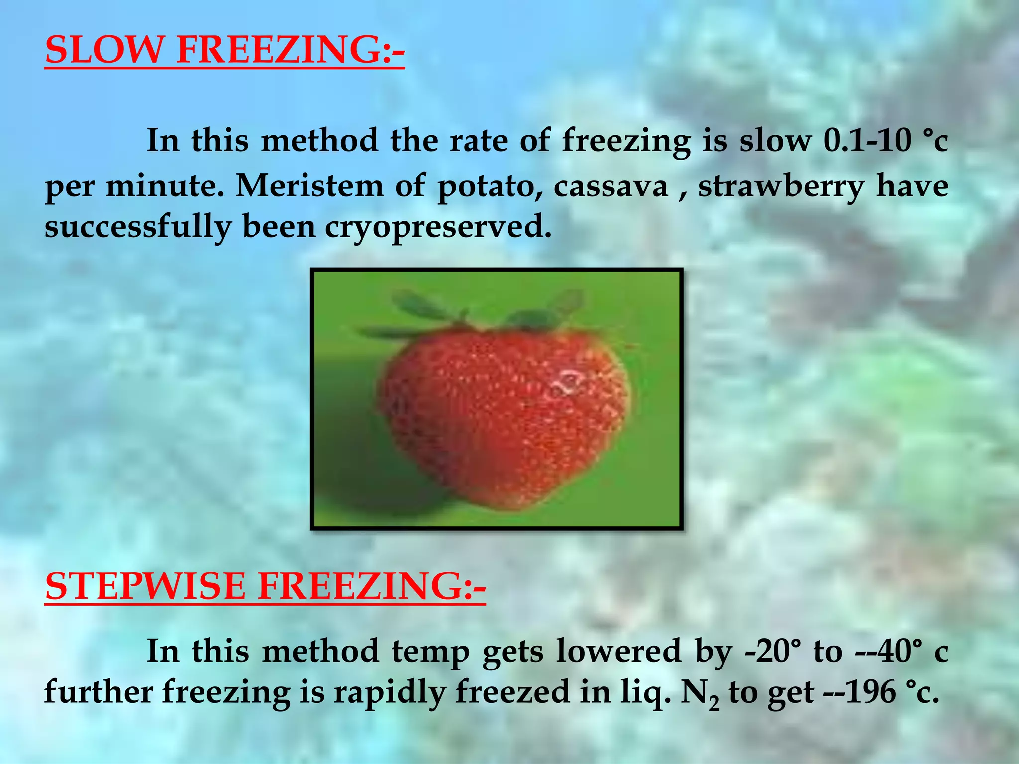 SLOW FREEZING:-
In this method the rate of freezing is slow 0.1-10 °c
per minute. Meristem of potato, cassava , strawberry have
successfully been cryopreserved.
STEPWISE FREEZING:-
In this method temp gets lowered by -20° to --40° c
further freezing is rapidly freezed in liq. N2 to get --196 °c.
 
