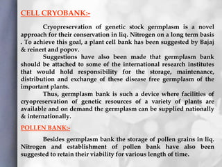 CELL CRYOBANK:-
Cryopreservation of genetic stock germplasm is a novel
approach for their conservation in liq. Nitrogen on a long term basis
. To achieve this goal, a plant cell bank has been suggested by Bajaj
& reinert and popov.
Suggestions have also been made that germplasm bank
should be attached to some of the international research institutes
that would hold responsibility for the storage, maintenance,
distribution and exchange of these disease free germplasm of the
important plants.
Thus, germplasm bank is such a device where facilities of
cryopreservation of genetic resources of a variety of plants are
available and on demand the germplasm can be supplied nationally
& internationally.
POLLEN BANK:-
Besides germplasm bank the storage of pollen grains in liq.
Nitrogen and establishment of pollen bank have also been
suggested to retain their viability for various length of time.
 