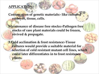 APPLICATION:-
Conservation of genetic materials:- like cultured
embryos, tissue, cells.
Maintenance of disease free stocks:-Pathogen free
stocks of rare plant materials could be frozen,
revived & propagate.
3.Cold acclimation & frost resistance:-Tissue
cultures would provide a suitable material for
selection of cold resistant mutant cell lines, which
could later differentiates in to frost resistance
plants.
 