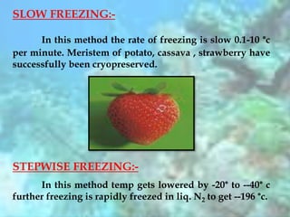 SLOW FREEZING:-
In this method the rate of freezing is slow 0.1-10 °c
per minute. Meristem of potato, cassava , strawberry have
successfully been cryopreserved.
STEPWISE FREEZING:-
In this method temp gets lowered by -20° to --40° c
further freezing is rapidly freezed in liq. N2 to get --196 °c.
 