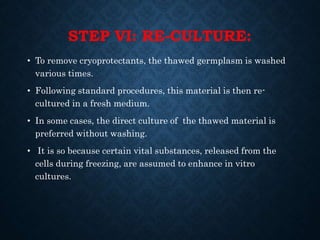 STEP VI: RE-CULTURE:
• To remove cryoprotectants, the thawed germplasm is washed
various times.
• Following standard procedures, this material is then re-
cultured in a fresh medium.
• In some cases, the direct culture of the thawed material is
preferred without washing.
• It is so because certain vital substances, released from the
cells during freezing, are assumed to enhance in vitro
cultures.
 