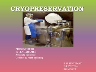 CRYOPRESERVATION
PRESENTED TO :
Dr . LALAHAMED
Associate Professor
Genetics & Plant Breeding
PRESENTED BY
S RAVI TEJA
BAM 20-23
 