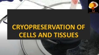 CRYOPRESERVATION OF
CELLS AND TISSUES
 