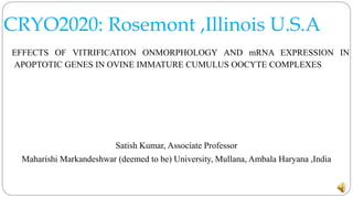 CRYO2020: Rosemont ,Illinois U.S.A
EFFECTS OF VITRIFICATION ONMORPHOLOGY AND mRNA EXPRESSION IN
APOPTOTIC GENES IN OVINE IMMATURE CUMULUS OOCYTE COMPLEXES
Satish Kumar, Associate Professor
Maharishi Markandeshwar (deemed to be) University, Mullana, Ambala Haryana ,India
 