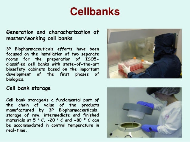 Cell Bank Storage | Master Cell Banking – SKNI