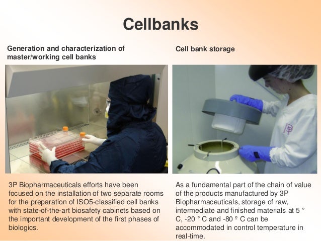 Usp 1042 Cell Banking | Good Cell Banking Practices – KUYB