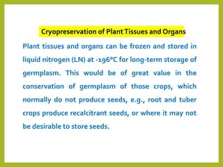 Cryopreservation of PlantTissues and Organs
Plant tissues and organs can be frozen and stored in
liquid nitrogen (LN) at -196°C for long-term storage of
germplasm. This would be of great value in the
conservation of germplasm of those crops, which
normally do not produce seeds, e.g., root and tuber
crops produce recalcitrant seeds, or where it may not
be desirable to store seeds.
 