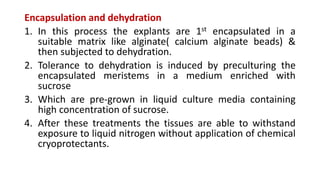 Cryopreservation of fruit crops | PPT