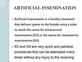 ARTIFICIAL INSEMINATION
 Artificial insemination is a fertility treatment
that delivers sperm to the female using a tube
to reach the cervix for intracervical
insemination (ICI) or the uterus for intrauterine
insemination (IUI)
 ICI and IUI are very quick and painless
procedures that can be attempted many
times without any injury to the receiving
 
