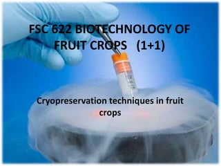 FSC 622 BIOTECHNOLOGY OF
FRUIT CROPS (1+1)
Cryopreservation techniques in fruit
crops
 