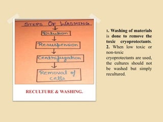 1. Washing of materials
is done to remove the
toxic cryoprotectants.
2. When low toxic or
non-toxic
cryoprotectants are used,
the cultures should not
be washed but simply
recultured.
RECULTURE & WASHING.
 