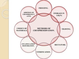 METHODS OF
CRYOPRESERVATION.
CHOICE OF
MATERIALS.
ADDITION OF
CRYOPROTECT
-ANTS
FREEZING.
STORAGE IN
LIQ.N2
THAWING.
RECULTURE.
VITRIFICATION.
ENCAPSULATION
DEHYDRATION.
 