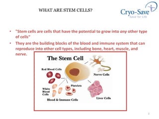 WHAT ARE STEM CELLS? "Stem cells are cells that have the potential to grow into  any  other type of cells“ They are the building blocks of the blood and immune system that can reproduce into other cell types, including bone, heart, muscle, and nerve.  