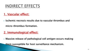 1. Vascular effect:
 Ischemic necrosis results due to vascular thrombus and
micro-thrombus formation.
2. Immunological effect:
 Massive release of pathological cell antigen occurs making
them susceptible for host surveillance mechanism.
25
 