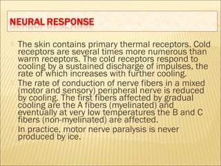  The skin contains primary thermal receptors. Cold
receptors are several times more numerous than
warm receptors. The cold receptors respond to
cooling by a sustained discharge of impulses, the
rate of which increases with further cooling.
 The rate of conduction of nerve fibers in a mixed
(motor and sensory) peripheral nerve is reduced
by cooling. The first fibers affected by gradual
cooling are the A fibers (myelinated) and
eventually at very low temperatures the B and C
fibers (non-myelinated) are affected.
 In practice, motor nerve paralysis is never
produced by ice.
 
