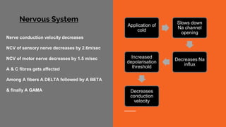 Nervous System
Nerve conduction velocity decreases
NCV of sensory nerve decreases by 2.6m/sec
NCV of motor nerve decreases by 1.5 m/sec
A & C fibres gets affected
Among A fibers A DELTA followed by A BETA
& finally A GAMA
Application of
cold
Slows down
Na channel
opening
Decreases Na
influx
Increased
depolarisation
threshold
Decreases
conduction
velocity
 