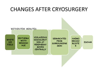 CHANGES AFTER CRYOSURGERY
WHITE
ICE
FIELD
ERYTHEMA
WITH
REDDISH
HUE
VIOLACEOUS
DISCOLORAT
ION AT
PERIPHERAY
MOVES
CENTRALLY
DEMARCATED
FROM
SURROUNDING
SKIN
HAEMO
RRHAIC
BLISTE
R
ESCHAR
WITHIN FEW MINUTES
 