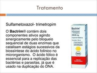 Tratamento
Sulfametoxazol- trimetropim!
!

O Bactrim® contém dois
componentes ativos agindo
sinergicamente pelo bloqueio
sequencial de duas enzimas que
catalisam estágios sucessivos da
biossíntese do ácido folínico no
microrganismo.  O ácido fólico é
essencial para a replicação das
bactérias e parasitas, já que é
usado na duplicação do DNA.

 