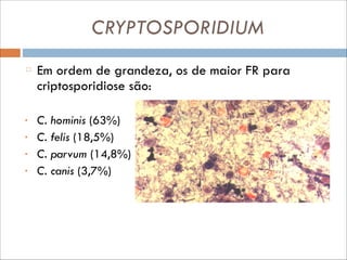CRYPTOSPORIDIUM
Em ordem de grandeza, os de maior FR para
criptosporidiose são:
•
•
•
•

!
C. hominis (63%)
C. felis (18,5%)
C. parvum (14,8%)
C. canis (3,7%)

 