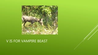 V IS FOR VAMPIRE BEAST 
 