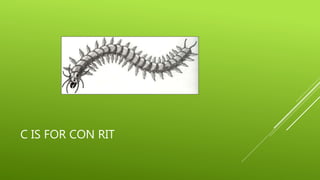 C IS FOR CON RIT 
 