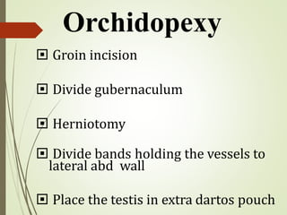  Groin incision
 Divide gubernaculum
 Herniotomy
 Divide bands holding the vessels to
lateral abd wall
 Place the testis in extra dartos pouch
Orchidopexy
 
