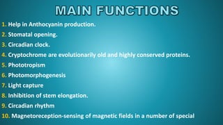 1. Help in Anthocyanin production.
2. Stomatal opening.
3. Circadian clock.
4. Cryptochrome are evolutionarily old and highly conserved proteins.
5. Phototropism
6. Photomorphogenesis
7. Light capture
8. Inhibition of stem elongation.
9. Circadian rhythm
10. Magnetoreception-sensing of magnetic fields in a number of special
 