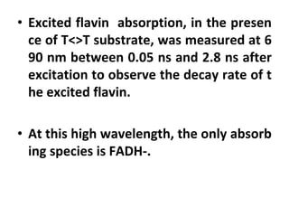 • Excited flavin absorption, in the presen
ce of T<>T substrate, was measured at 6
90 nm between 0.05 ns and 2.8 ns after
excitation to observe the decay rate of t
he excited flavin.
• At this high wavelength, the only absorb
ing species is FADH-.
 