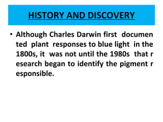HISTORY AND DISCOVERY
• Although Charles Darwin first documen
ted plant responses to blue light in the
1800s, it was not until the 1980s that r
esearch began to identify the pigment r
esponsible.
 